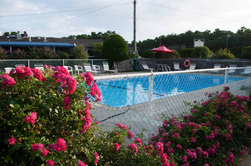 Southfleet Motor Inn Outdoor Pool