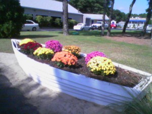 Picture042