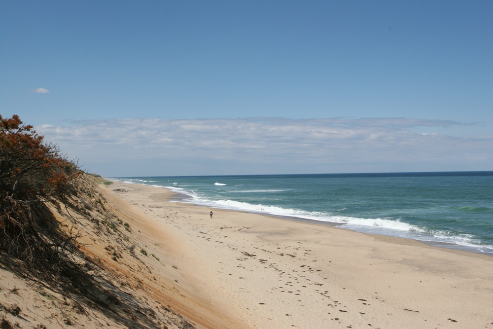 Marconi Beach South Wellfleet The Southfleet