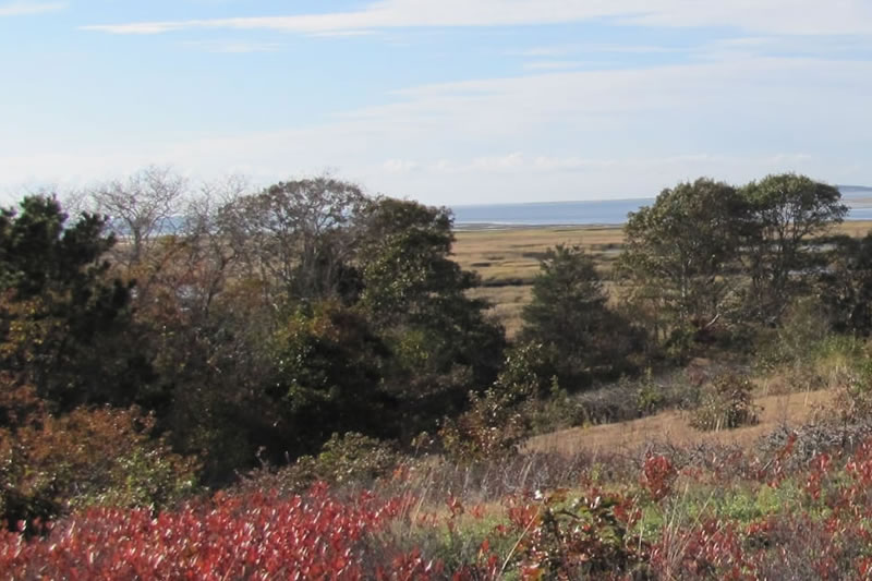 Wellfleet Bay Wildlife Sanctuary
