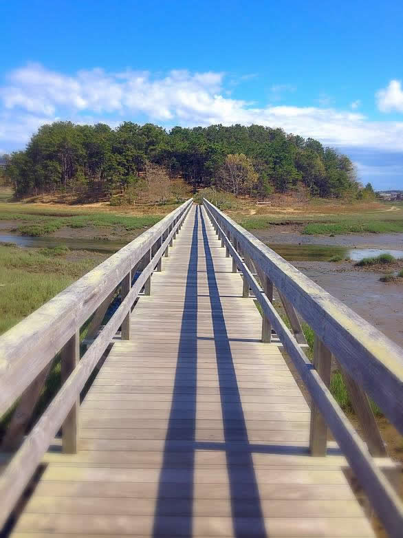 Uncle Tim's Bridge