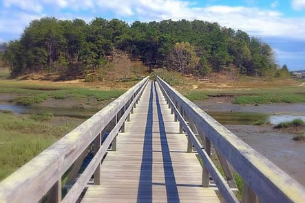 Uncle Tim’s Bridge