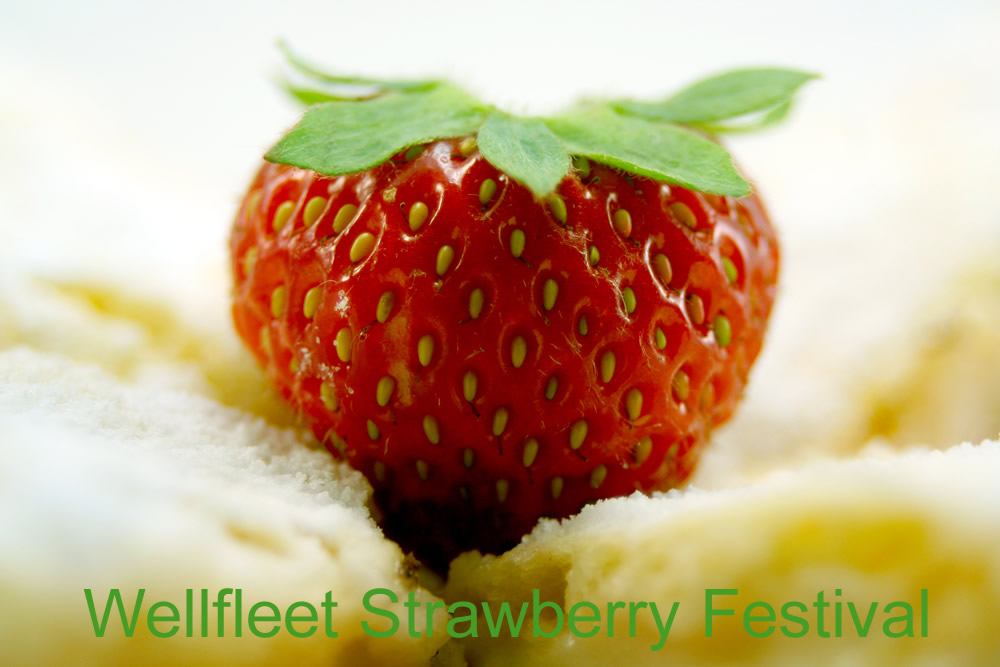 wellfleet-strawberry-festival-2015