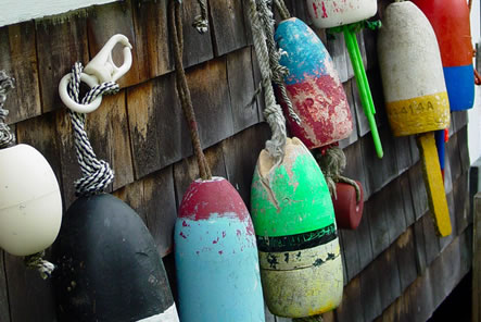 Wellfleet Buoys