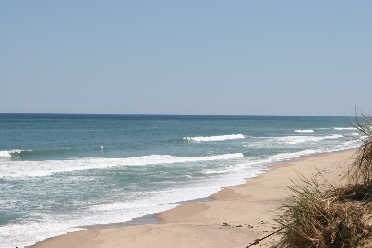 Lecount Hollow Beach