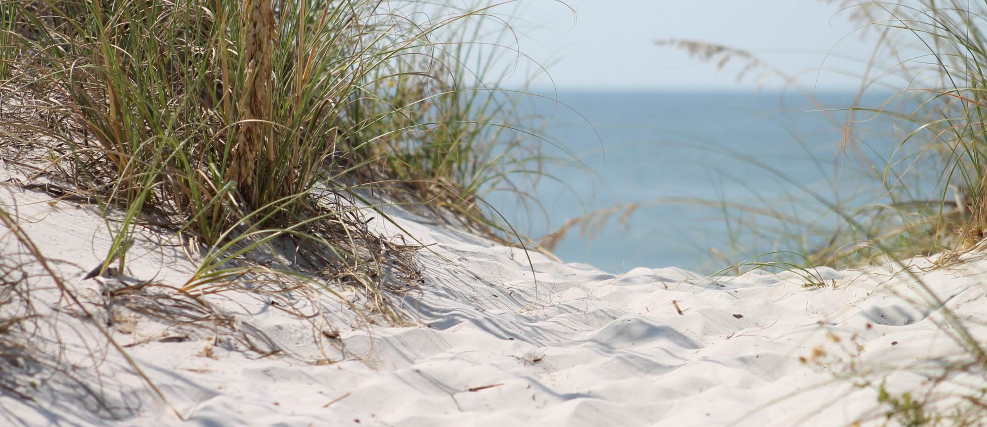 Post Season Rates in Effect