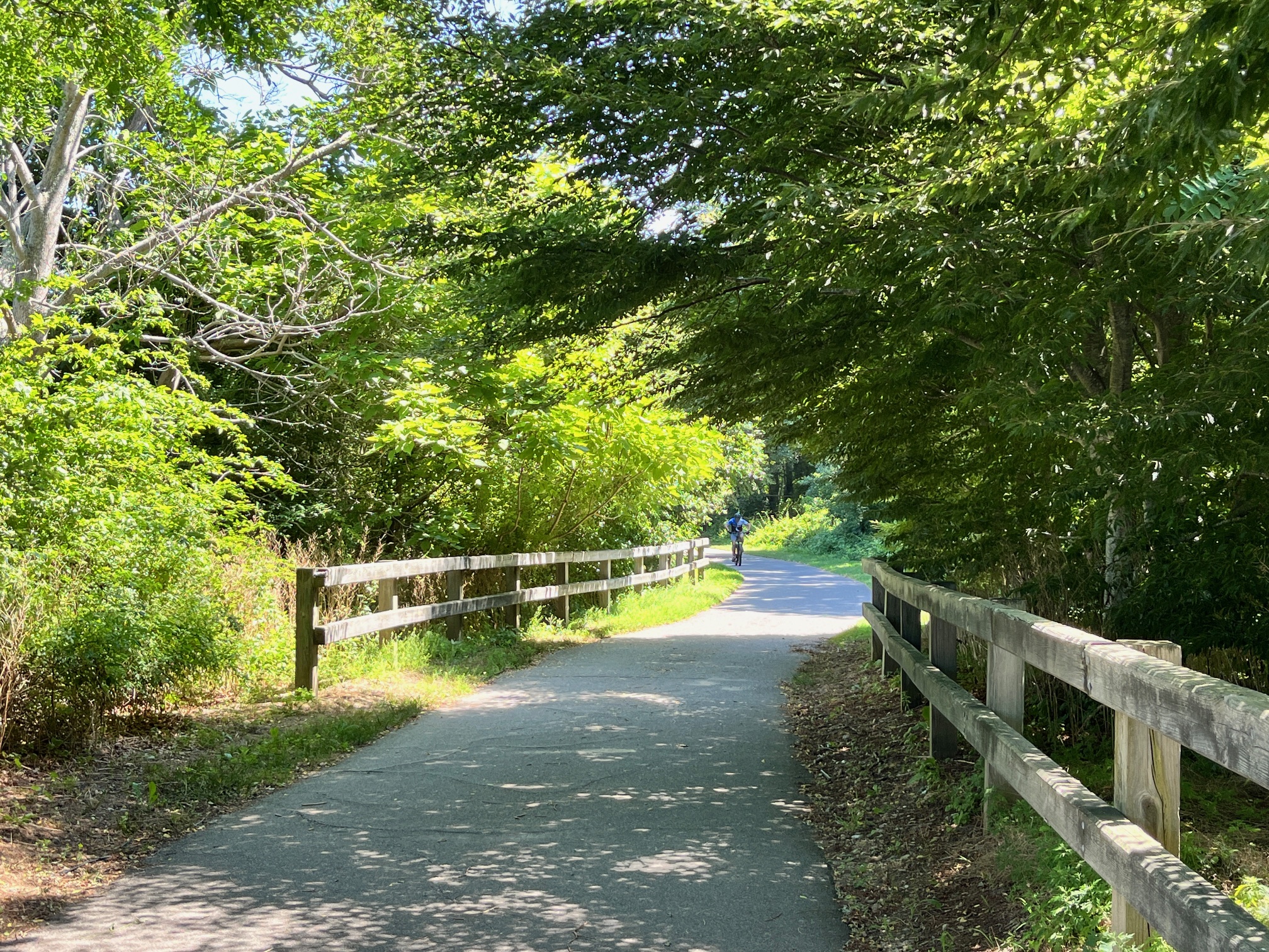 cape-cod-rail-trail-bike-ride-wellfleet-orleans-brewster-1