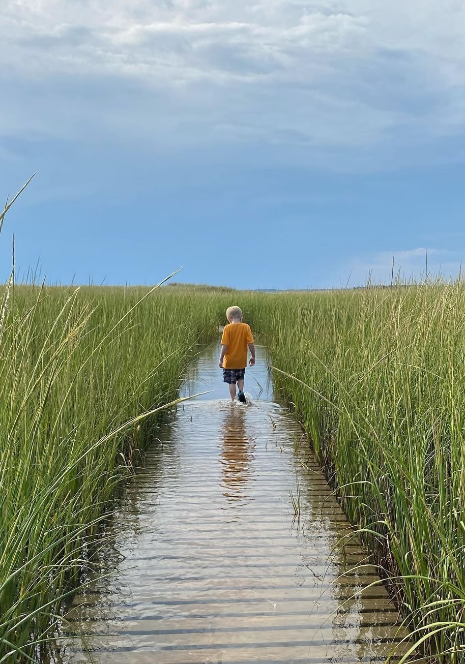 wellfleet-bay-sanctuary-cape-cod