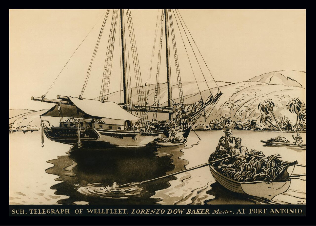 Wellfleet’s Banana Pioneer: The Story of Lorenzo Dow Baker