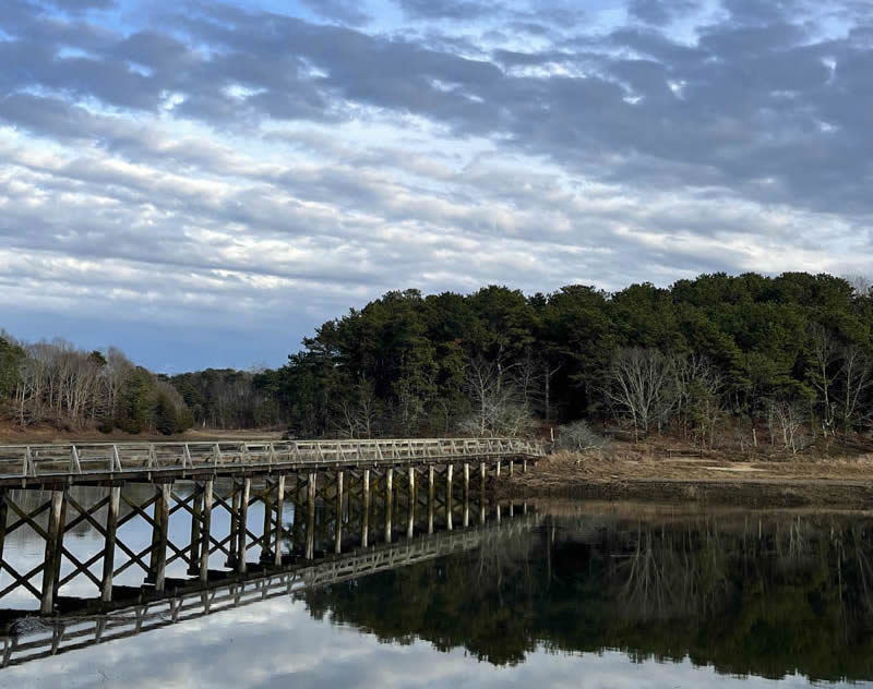 Spring Awakens in Wellfleet: A Quiet Escape into Nature