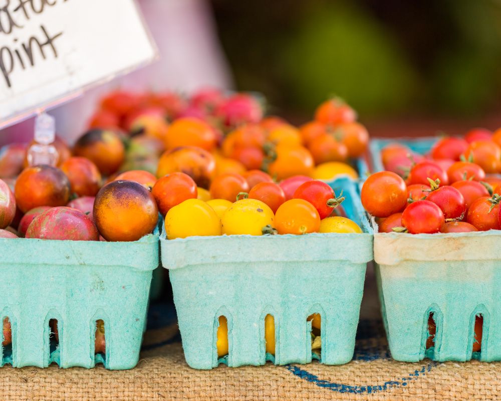 Escape to Cape Cod & Discover the Charm of the Wellfleet Farmers Market