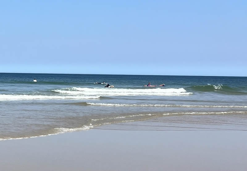 What is the nicest town in Cape Cod?