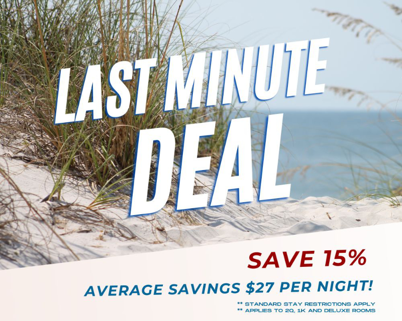 Last Minute Deal 15% Off